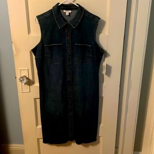 Style & Co. Denim Sleeveless Jumper Dress Button Front Size 16